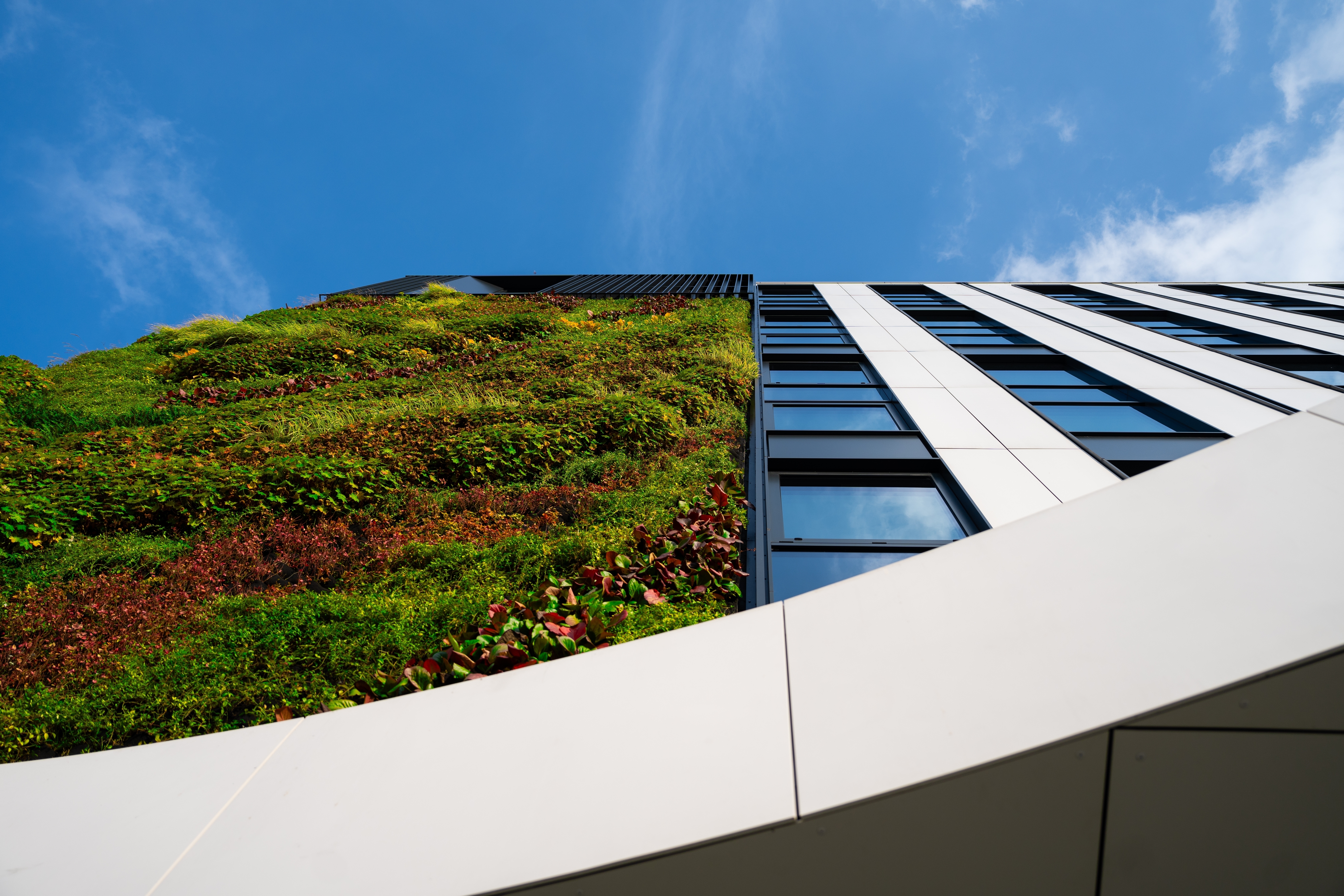 craft\elements\db\ElementQuery