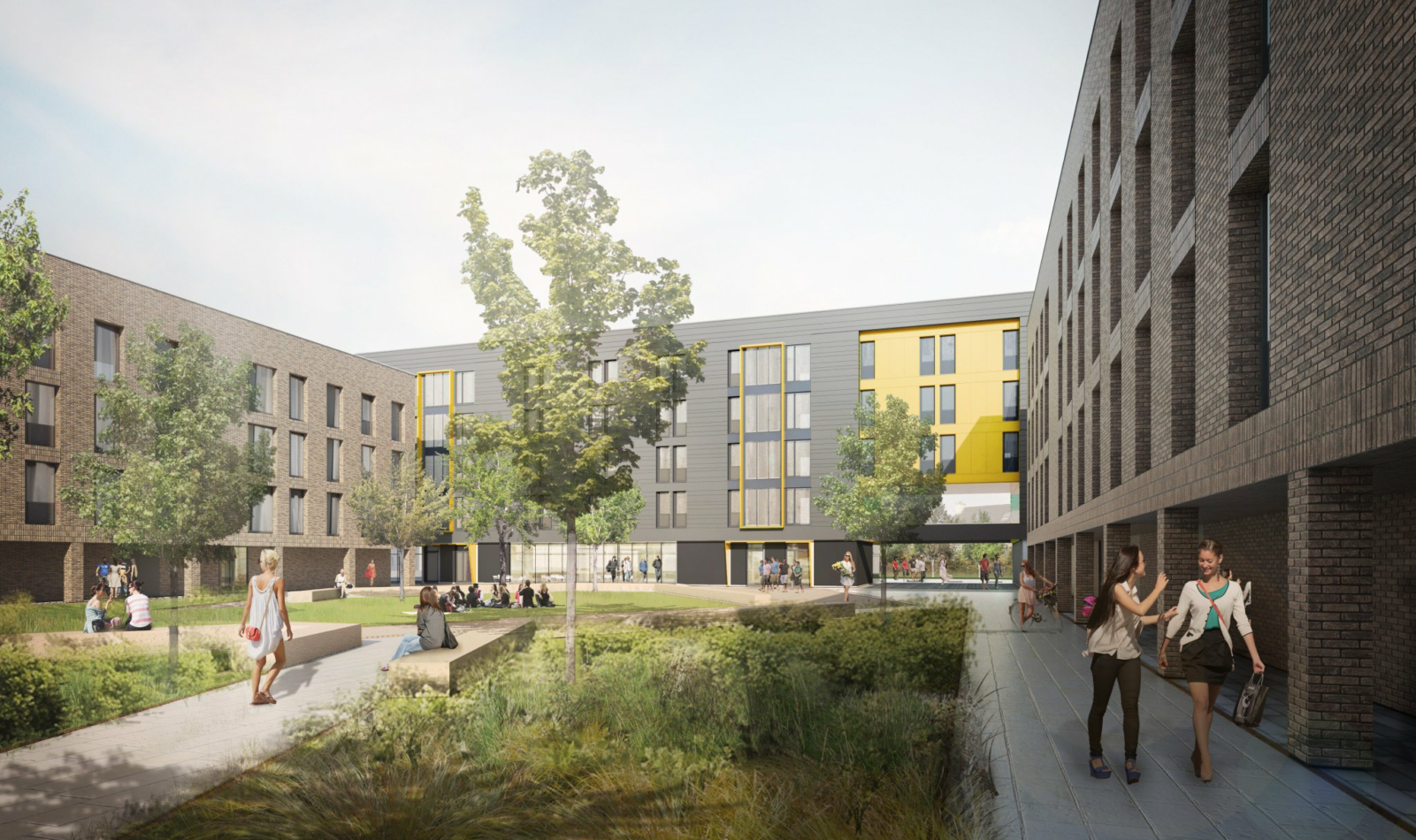 NUI Galway Goldcrest